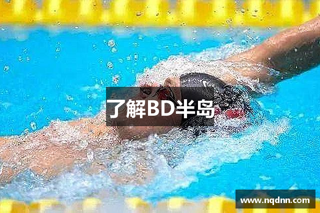 了解BD半岛